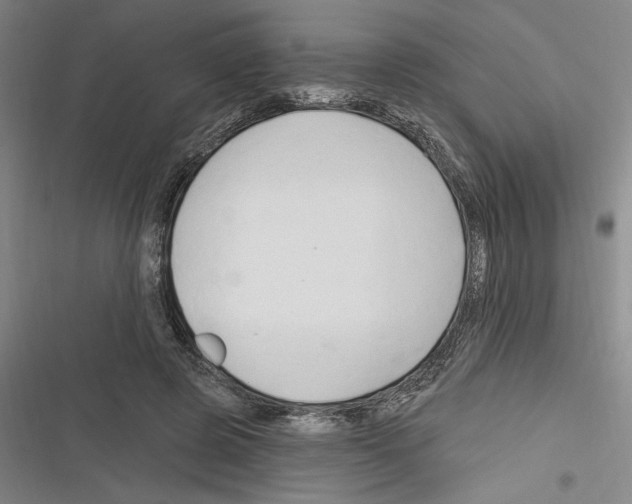 X0000116280545201001111037