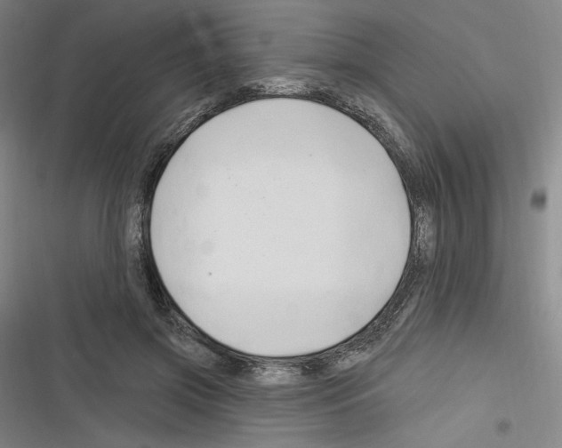 X0000116280549201001111037
