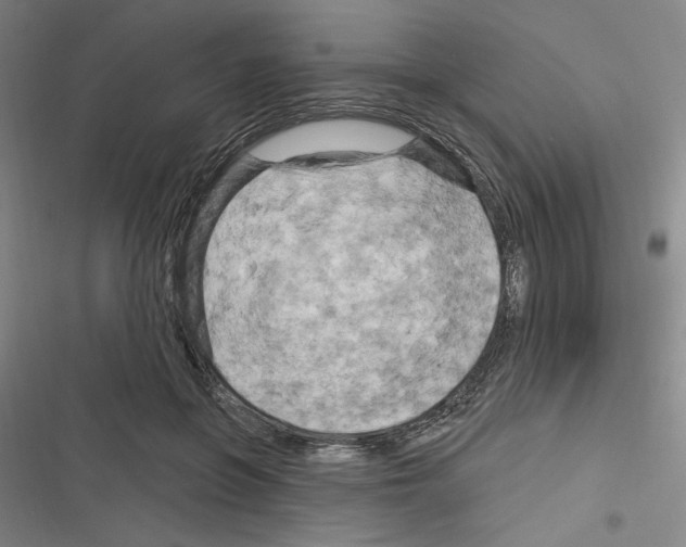 X0000116280551201001111037