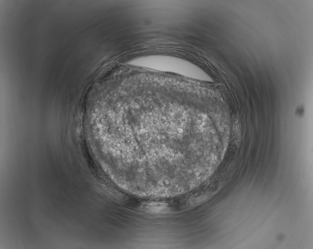 X0000116280554201001111037