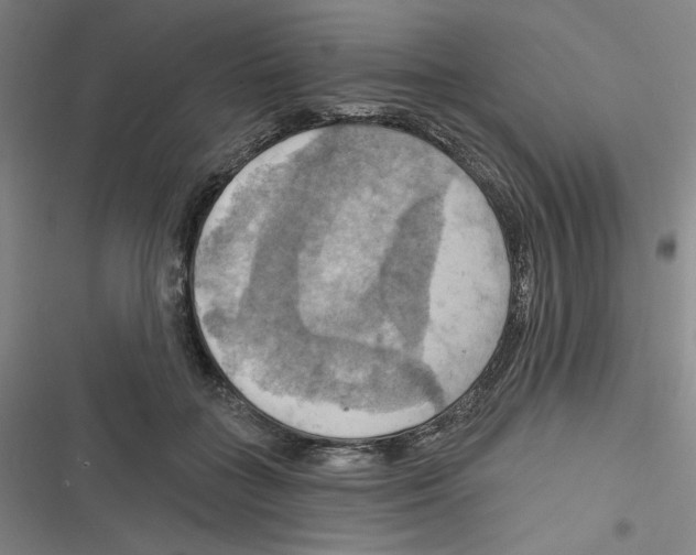 X0000116280555201001111037