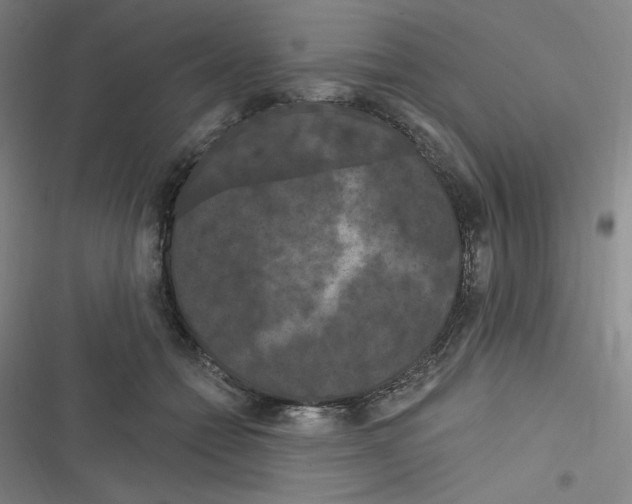 X0000116280558201001111037