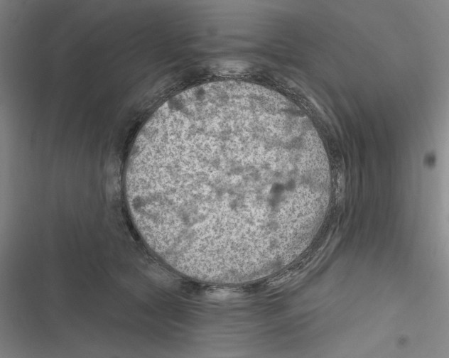 X0000116280561201001111038
