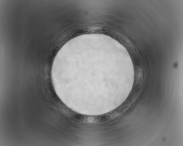 X0000116280565201001111038