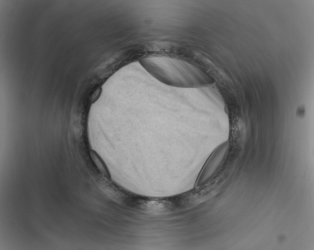 X0000116280566201001111038