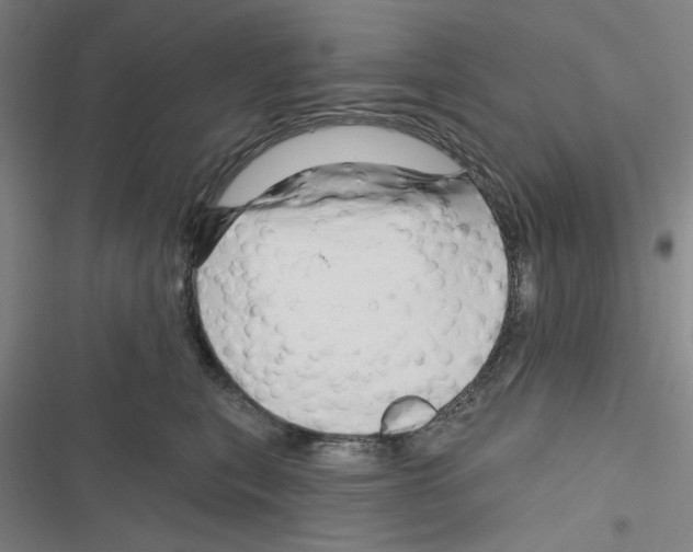 X0000116280567201001111038
