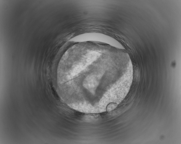 X0000116280571201001111038