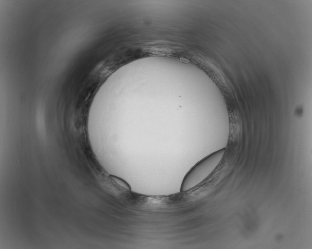 X0000116280573201001111038