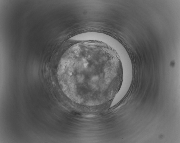 X0000116280575201001111038