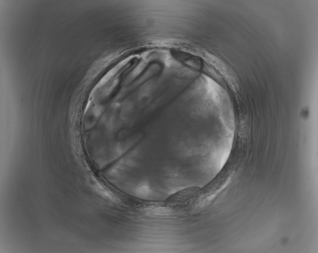 X0000116280577201001111037