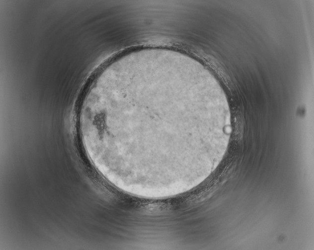 X0000116280584201001111037