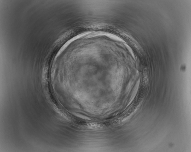 X0000116280585201001111037