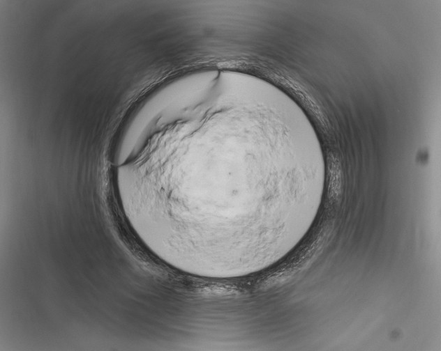 X0000116280586201001111037