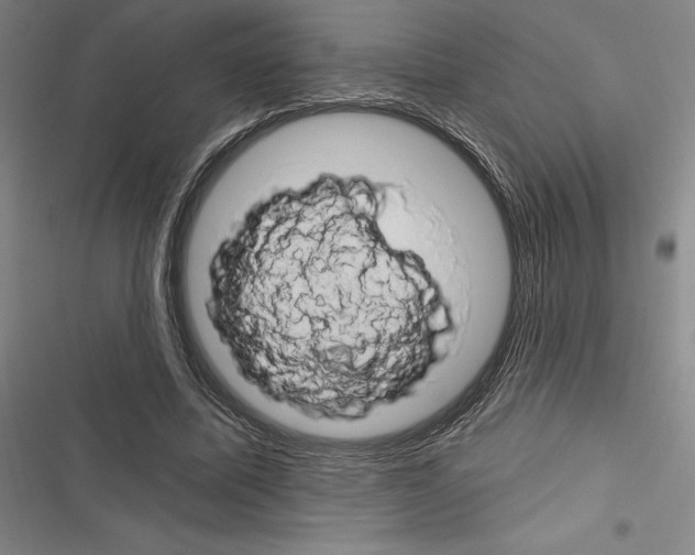 X0000116280587201001111037