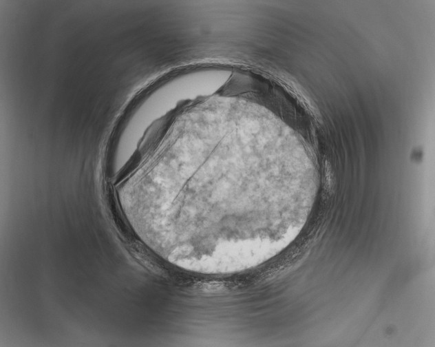 X0000116280588201001111037