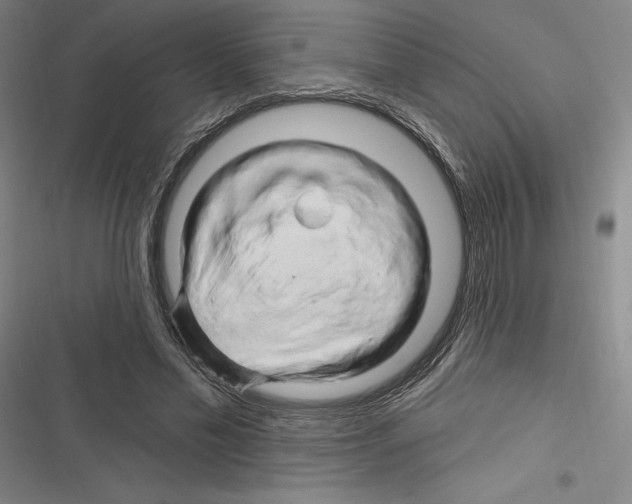X0000116280589201001111037