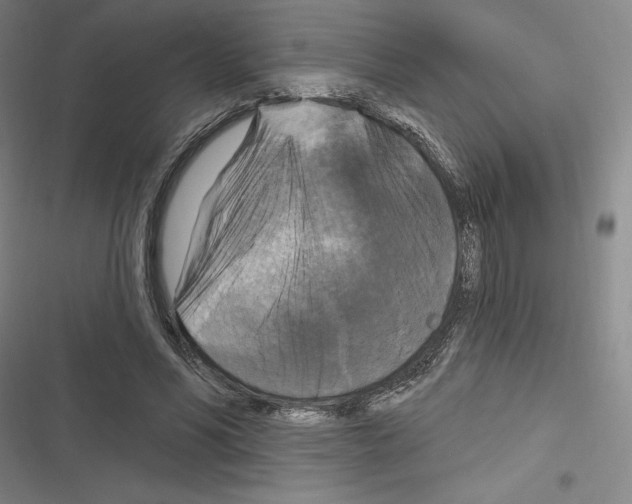 X0000116280590201001111037