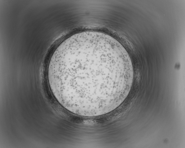 X0000116280591201001111037