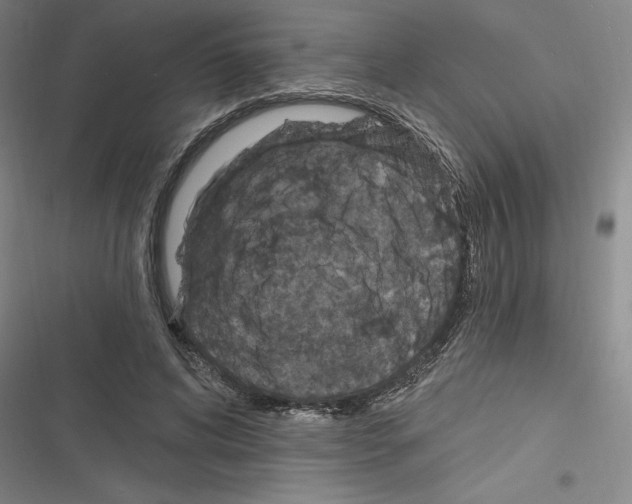 X0000116280592201001111037