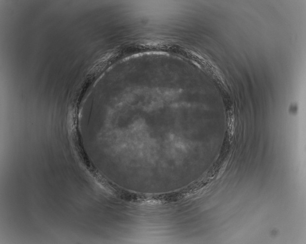 X0000116280593201001111037