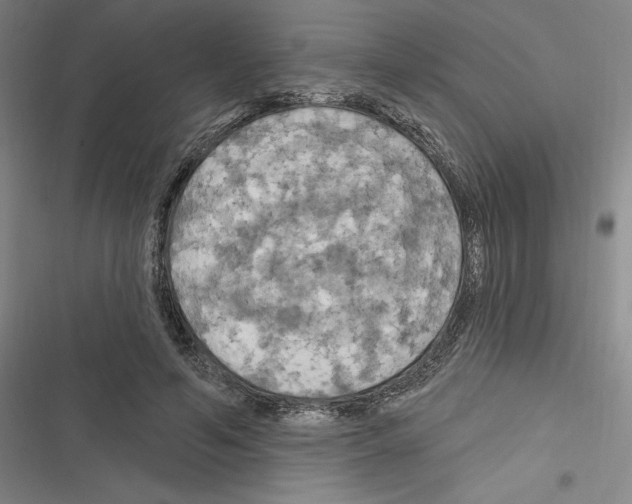 X0000116280594201001111037