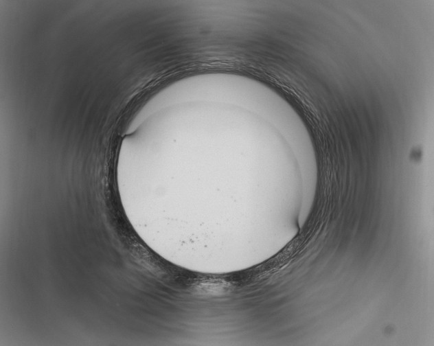 X0000116280595201001111037