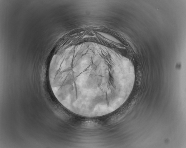 X0000116280596201001111037