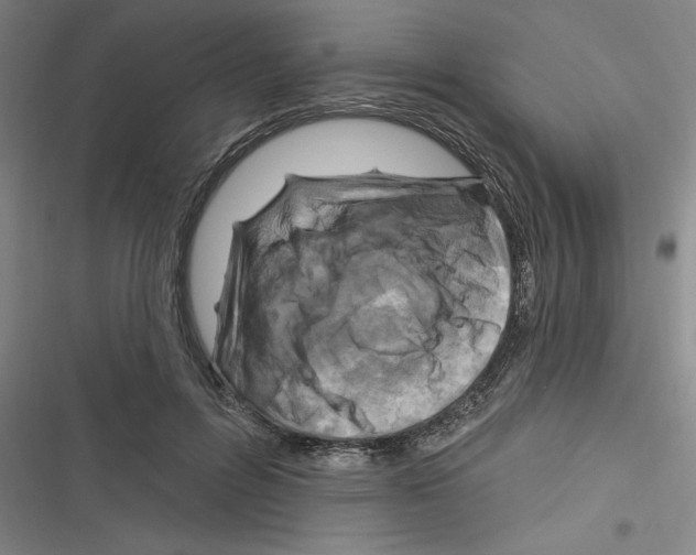 X0000116280600201001111037