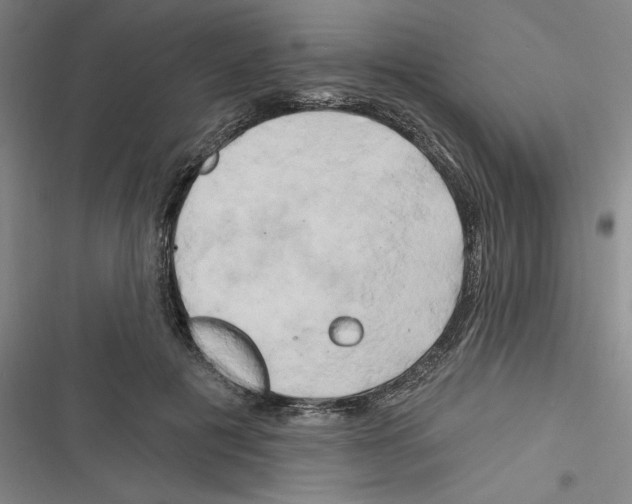X0000116280601201001111037
