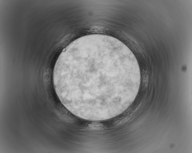 X0000116280603201001111037