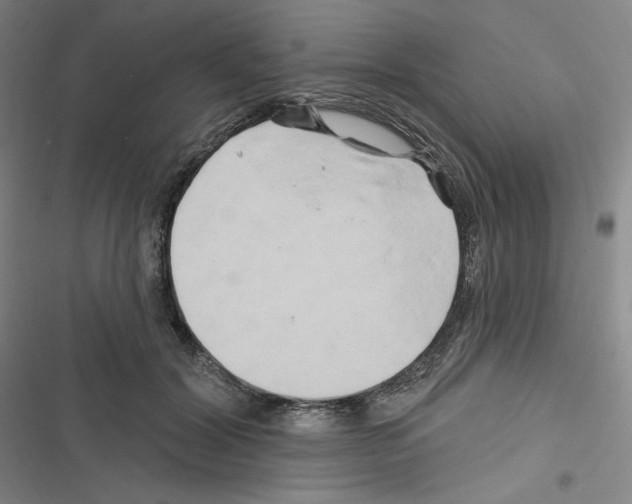 X0000116280604201001111037