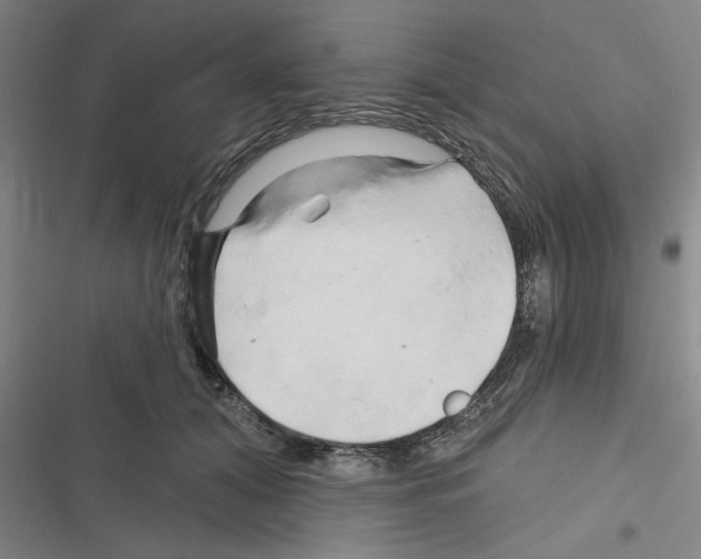 X0000116280608201001111037