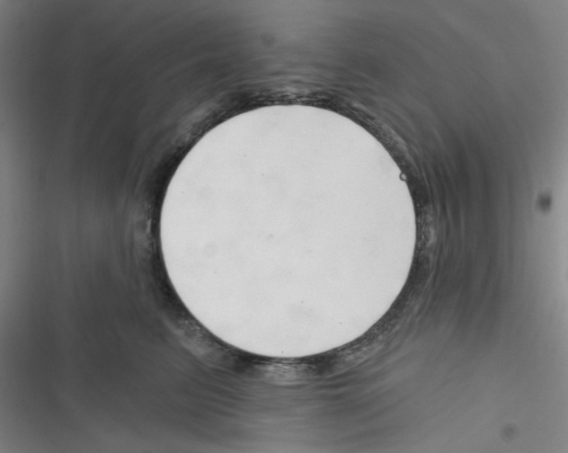 X0000116280615201001111037
