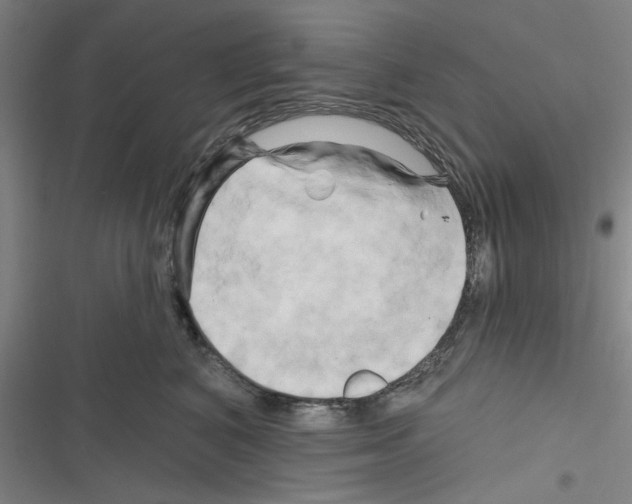 X0000116280616201001111037