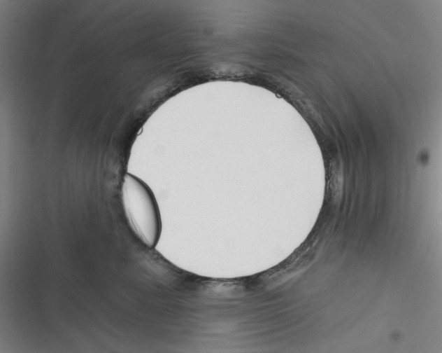 X0000116280619201001111036