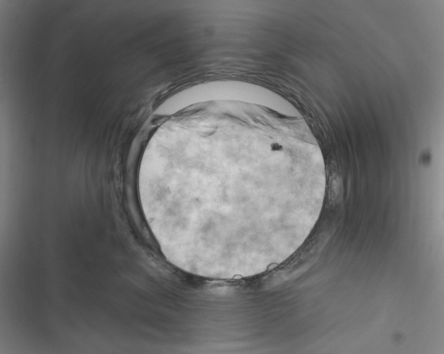 X0000116280620201001111036