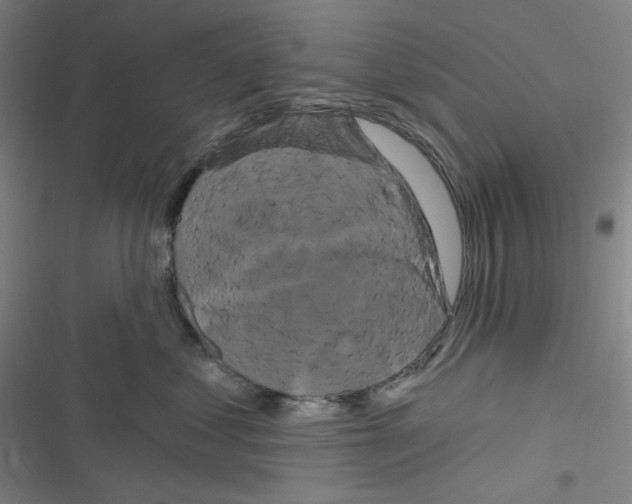 X0000116280621201001111036