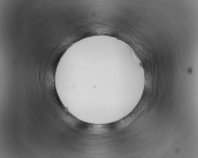 X0000116280622201001111036