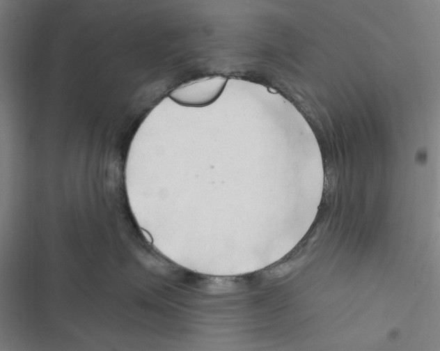 X0000116280623201001111036