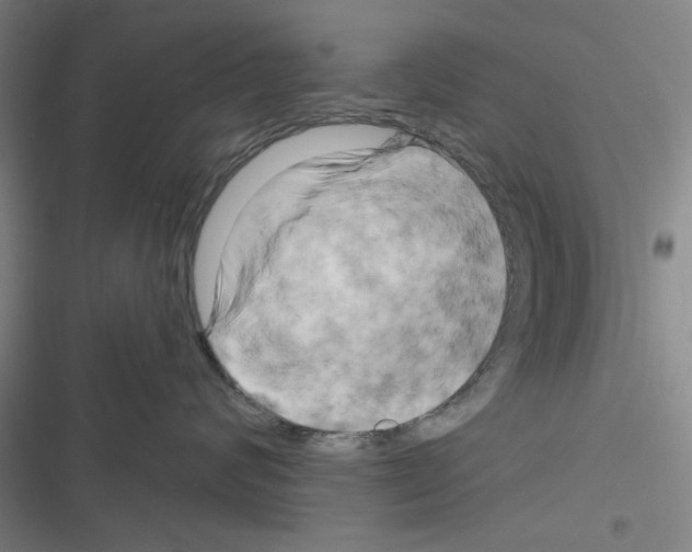 X0000116280624201001111036