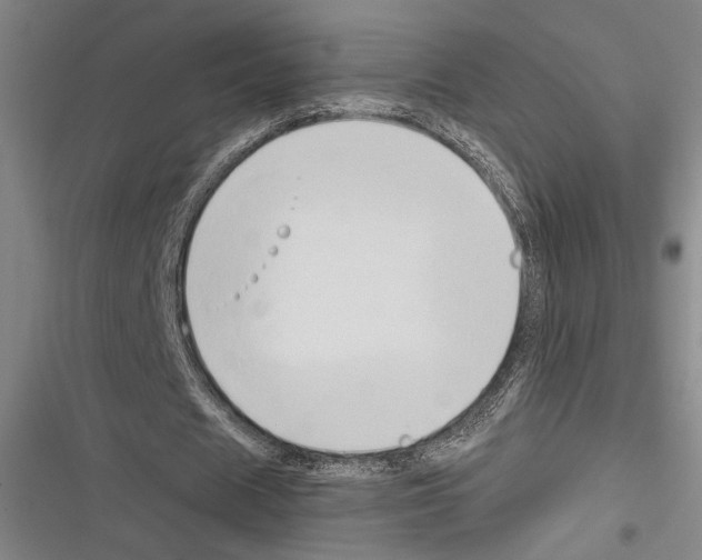 X0000116280625201001111036