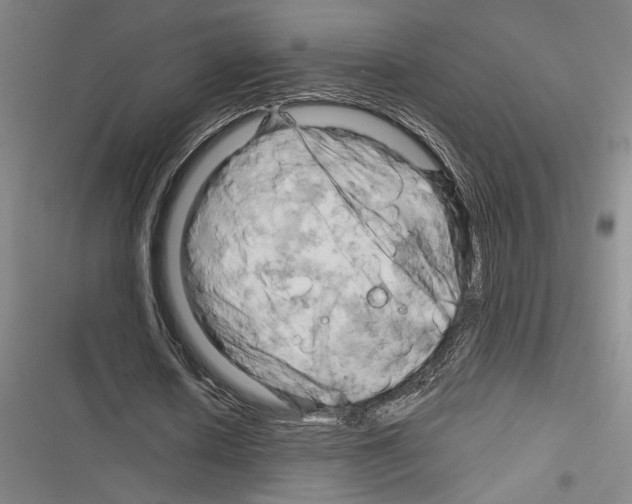 X0000116280626201001111036