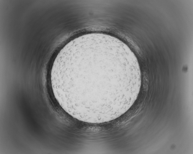 X0000116280631201001111036