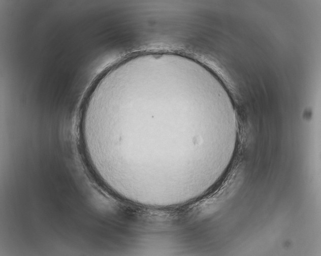 X0000116280632201001111036