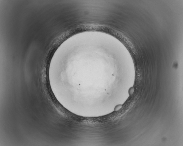 X0000116280633201001111036