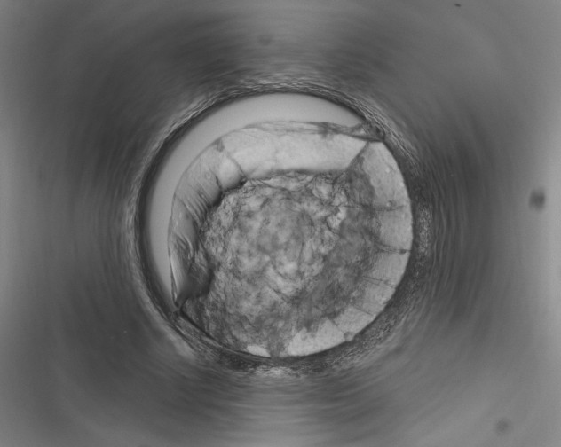 X0000116280634201001111036