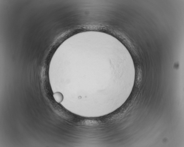 X0000116280636201001111036