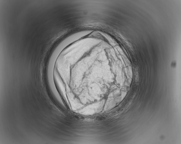 X0000116280637201001111036