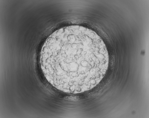 X0000116280639201001111036