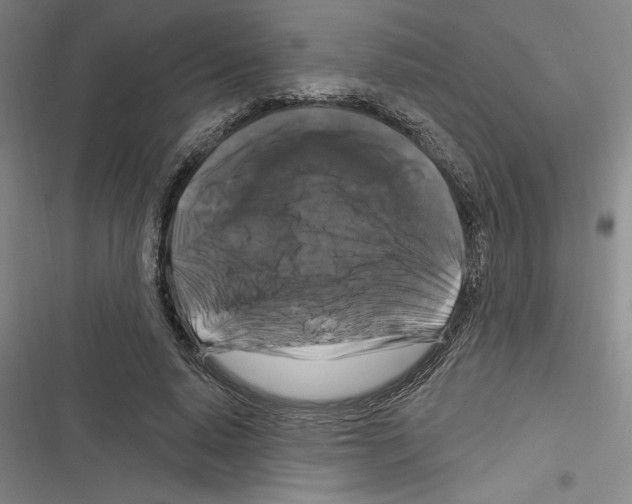 X0000116280640201001111036